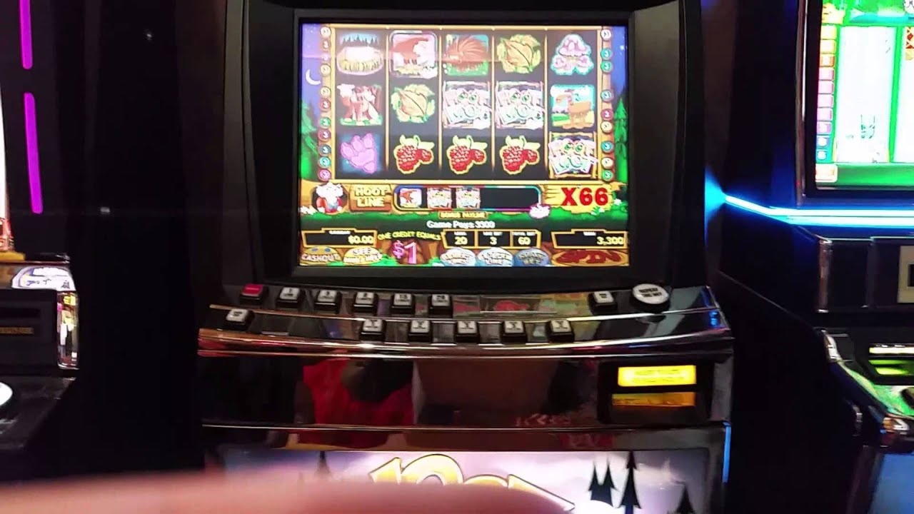 105% Match på et kasino på Kaboo Casino